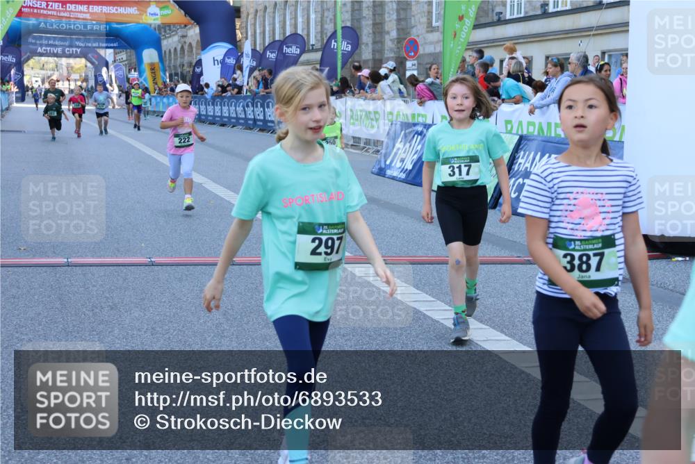 01.09.2024 - BARMER Alsterlauf Strokosch-Dieckow http://msf.ph/oto/6893533 01.09.2024 10:53:42 Ziel 187, 222, 250, 282, 283, 288, 317, 329, 385 meine-sportfotos.de