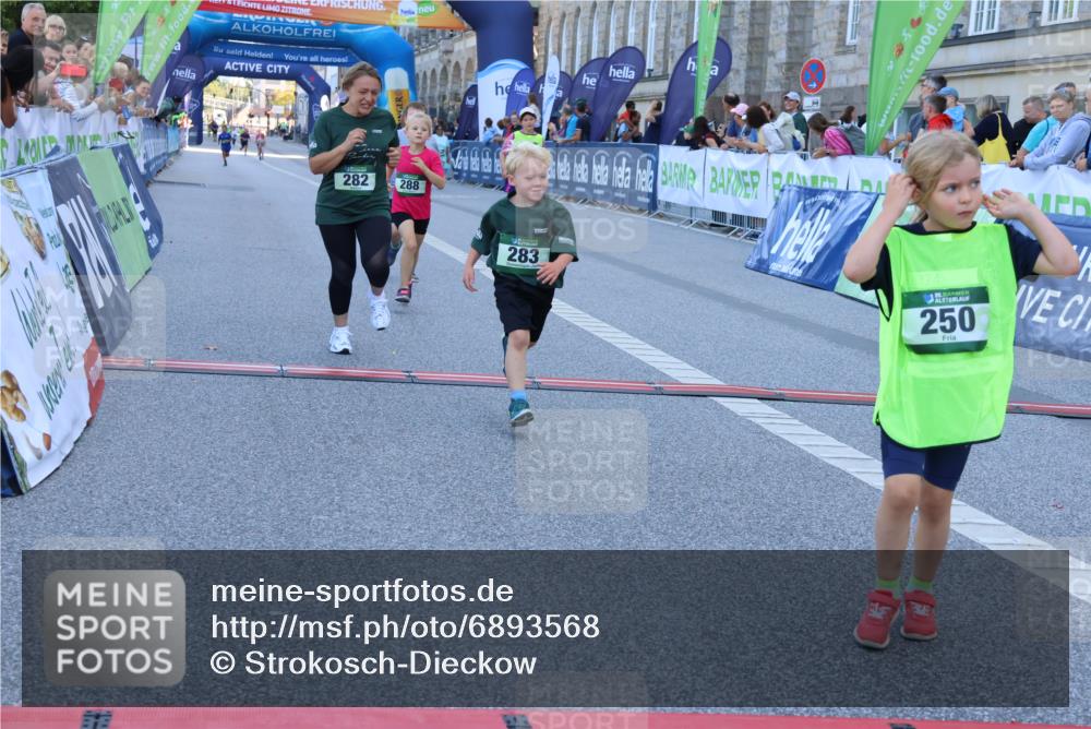 01.09.2024 - BARMER Alsterlauf Strokosch-Dieckow http://msf.ph/oto/6893568 01.09.2024 10:53:47 Ziel 187, 282, 283, 288, 329, 385 meine-sportfotos.de