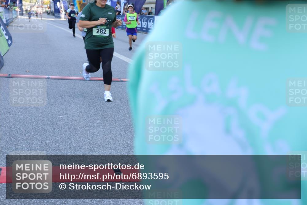 01.09.2024 - BARMER Alsterlauf Strokosch-Dieckow http://msf.ph/oto/6893595 01.09.2024 10:53:48 Ziel 187, 282, 283, 288, 329, 385 meine-sportfotos.de