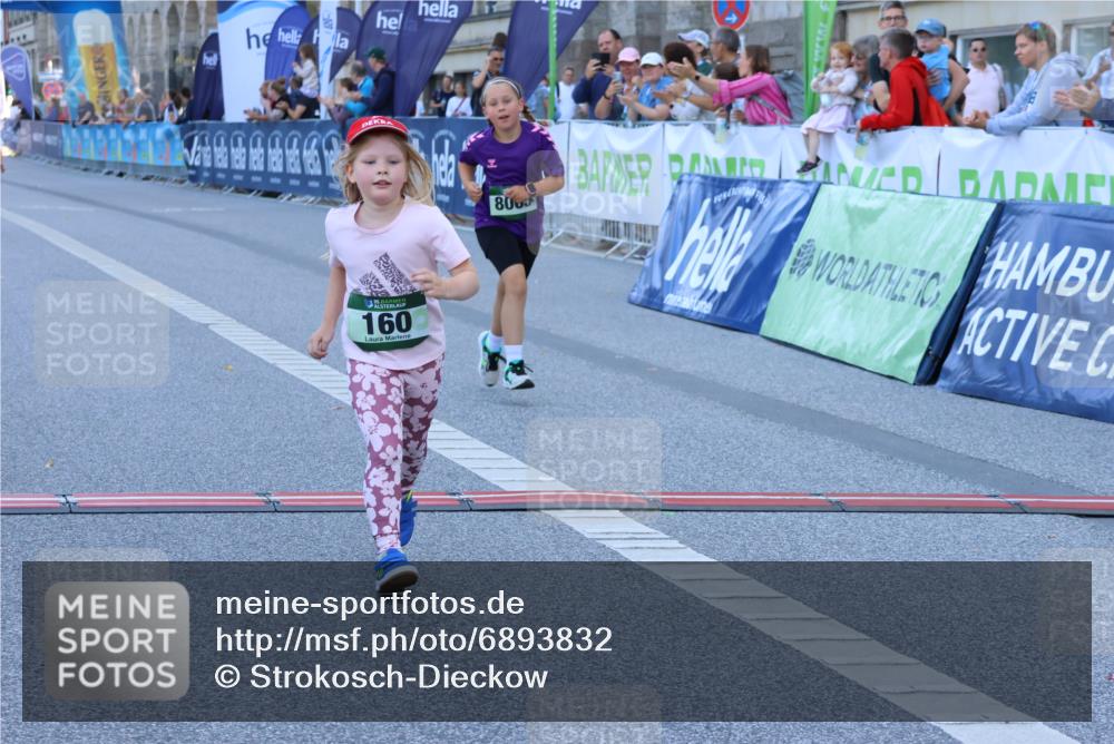 01.09.2024 - BARMER Alsterlauf Strokosch-Dieckow http://msf.ph/oto/6893832 01.09.2024 10:54:17 Ziel 160, 8065, 8069 meine-sportfotos.de