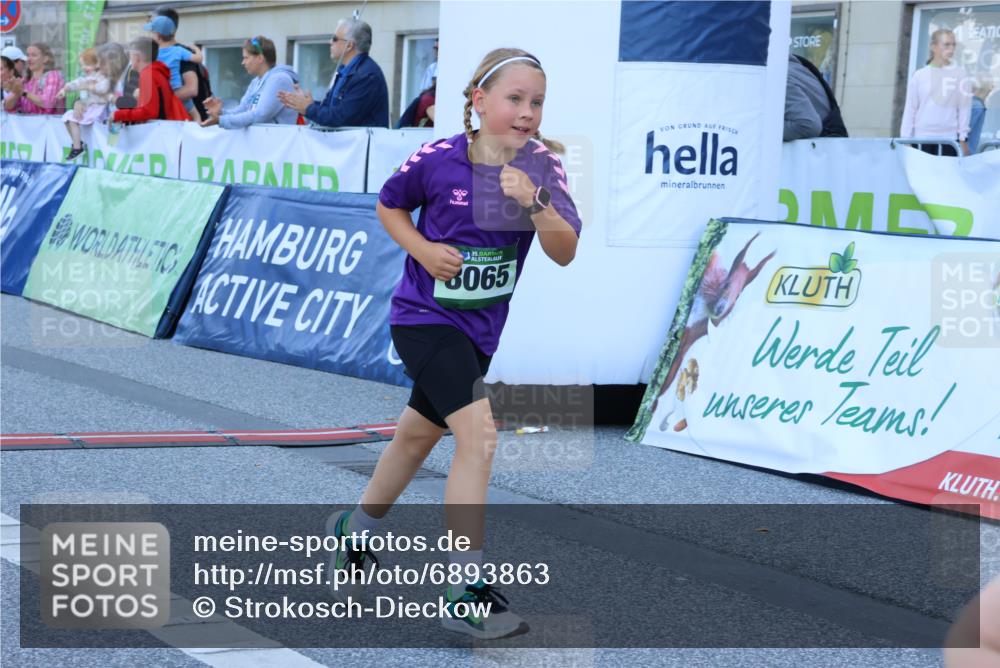 01.09.2024 - BARMER Alsterlauf Strokosch-Dieckow http://msf.ph/oto/6893863 01.09.2024 10:54:20 Ziel 175, 304, 383, 8065, 8069 meine-sportfotos.de