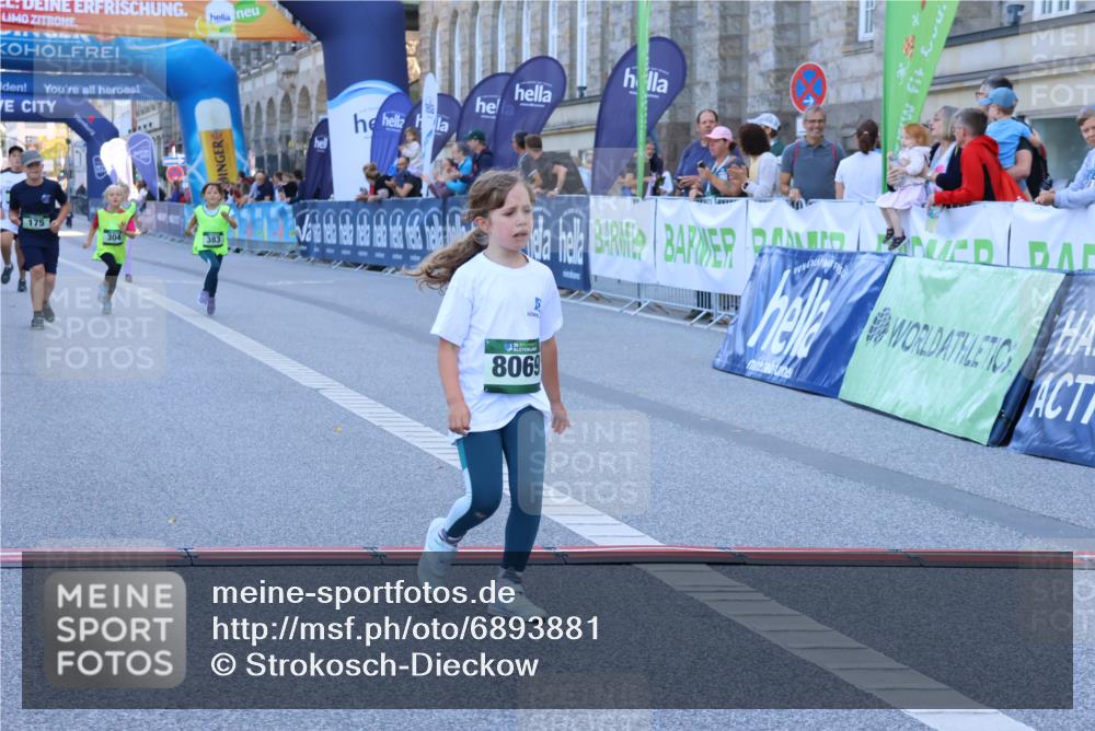 01.09.2024 - BARMER Alsterlauf Strokosch-Dieckow http://msf.ph/oto/6893881 01.09.2024 10:54:24 Ziel 173, 175, 304, 337, 383, 8069 meine-sportfotos.de