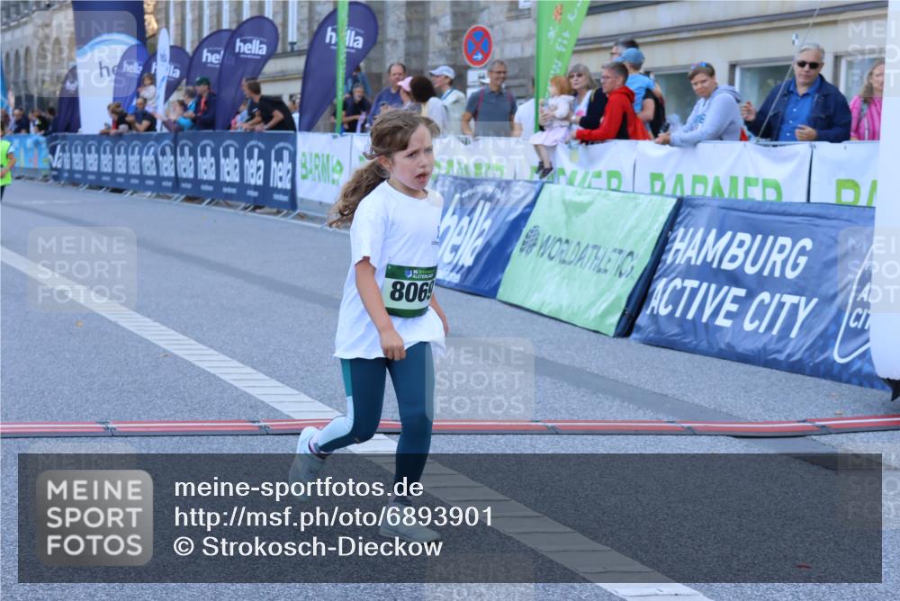 01.09.2024 - BARMER Alsterlauf Strokosch-Dieckow http://msf.ph/oto/6893901 01.09.2024 10:54:25 Ziel 173, 175, 304, 337, 383, 8069 meine-sportfotos.de