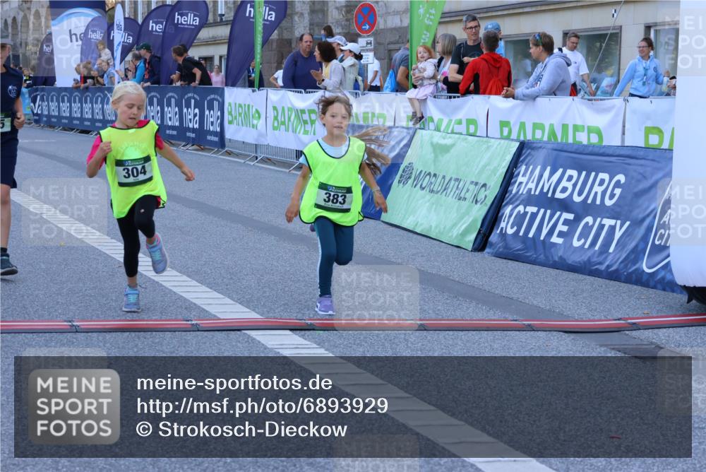 01.09.2024 - BARMER Alsterlauf Strokosch-Dieckow http://msf.ph/oto/6893929 01.09.2024 10:54:28 Ziel 173, 175, 304, 325, 337, 383 meine-sportfotos.de