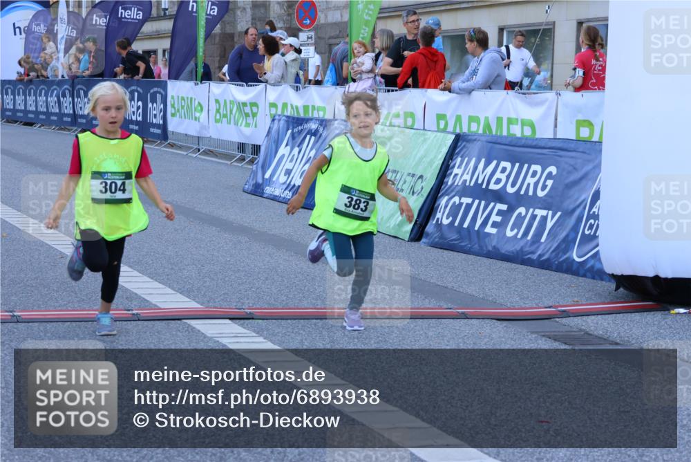 01.09.2024 - BARMER Alsterlauf Strokosch-Dieckow http://msf.ph/oto/6893938 01.09.2024 10:54:29 Ziel 173, 175, 304, 325, 337, 383 meine-sportfotos.de