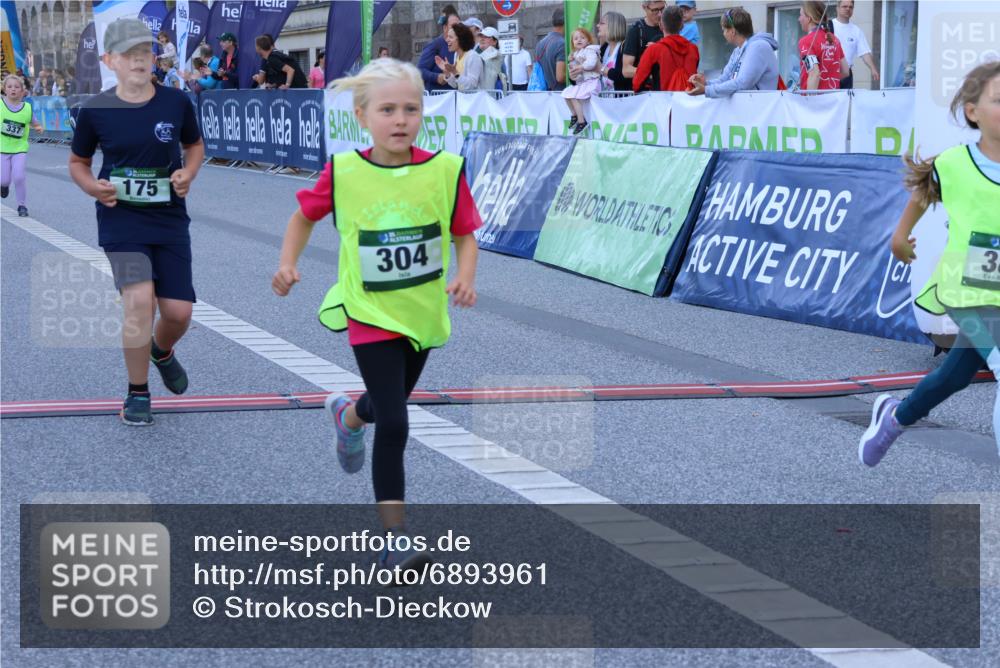 01.09.2024 - BARMER Alsterlauf Strokosch-Dieckow http://msf.ph/oto/6893961 01.09.2024 10:54:30 Ziel 173, 175, 304, 325, 337, 383 meine-sportfotos.de