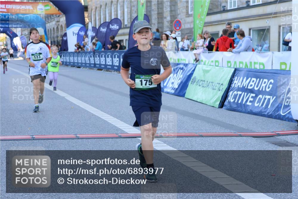 01.09.2024 - BARMER Alsterlauf Strokosch-Dieckow http://msf.ph/oto/6893977 01.09.2024 10:54:31 Ziel 173, 175, 304, 325, 337, 383 meine-sportfotos.de