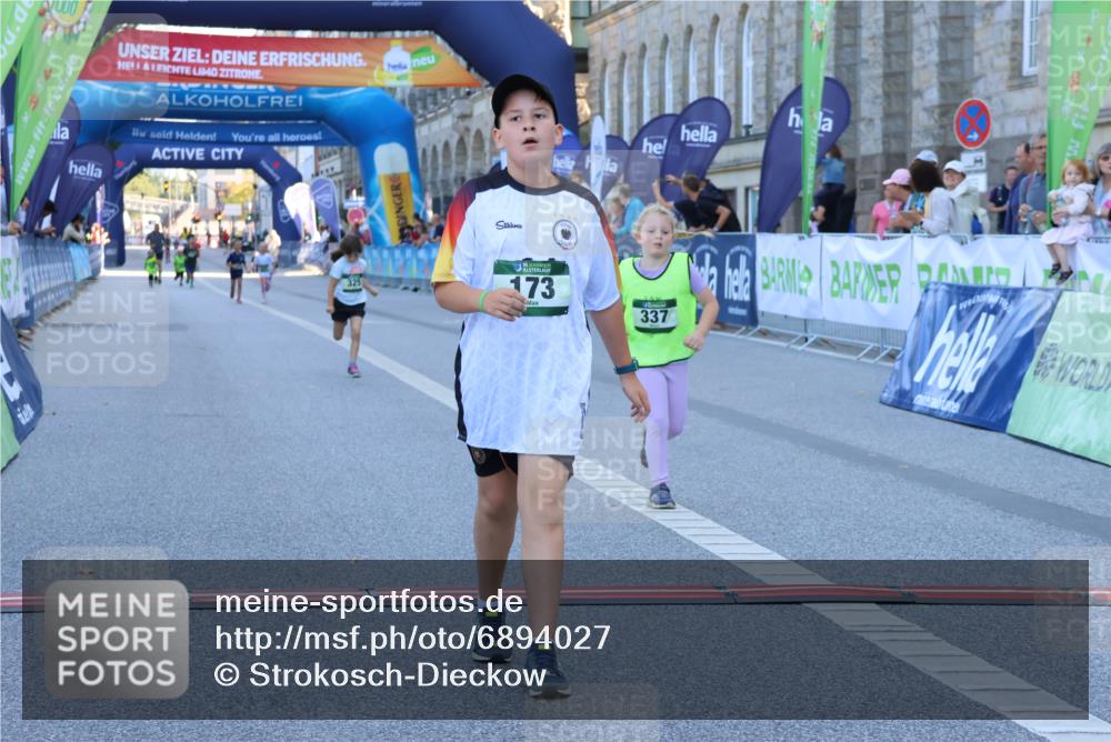 01.09.2024 - BARMER Alsterlauf Strokosch-Dieckow http://msf.ph/oto/6894027 01.09.2024 10:54:33 Ziel 173, 325, 337 meine-sportfotos.de