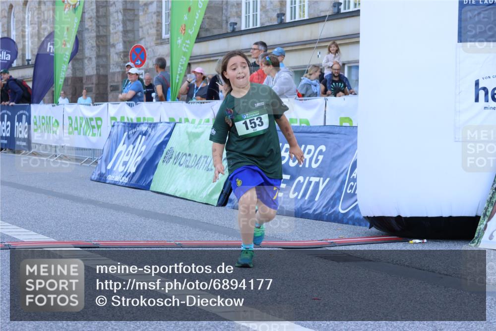 01.09.2024 - BARMER Alsterlauf Strokosch-Dieckow http://msf.ph/oto/6894177 01.09.2024 10:54:58 Ziel 153, 330, 357 meine-sportfotos.de