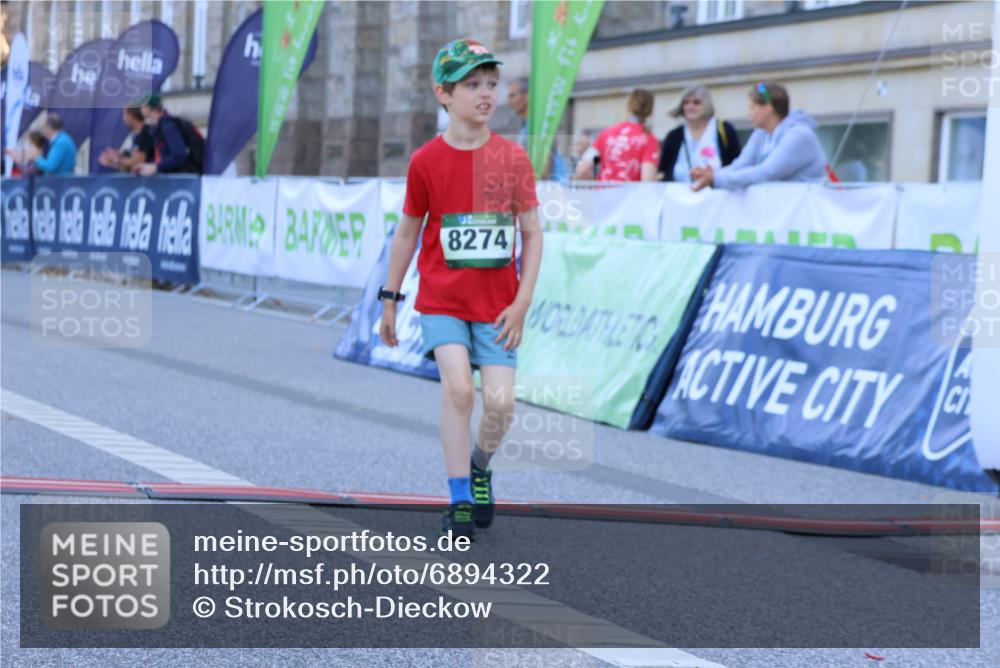 01.09.2024 - BARMER Alsterlauf Strokosch-Dieckow http://msf.ph/oto/6894322 01.09.2024 10:55:18 Ziel 212, 8274 meine-sportfotos.de
