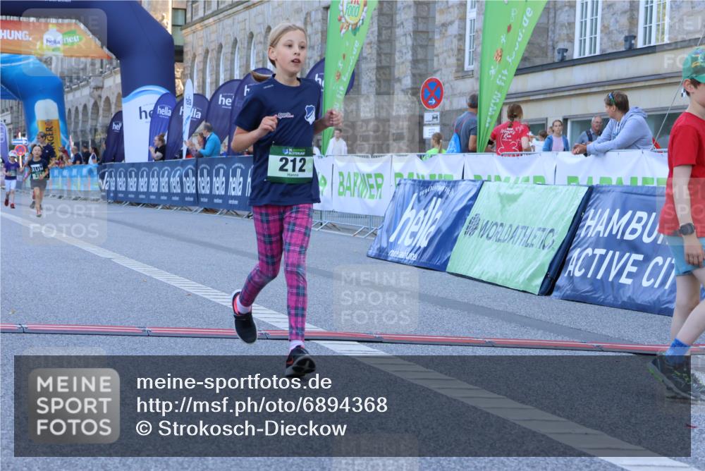 01.09.2024 - BARMER Alsterlauf Strokosch-Dieckow http://msf.ph/oto/6894368 01.09.2024 10:55:21 Ziel 212, 277 meine-sportfotos.de