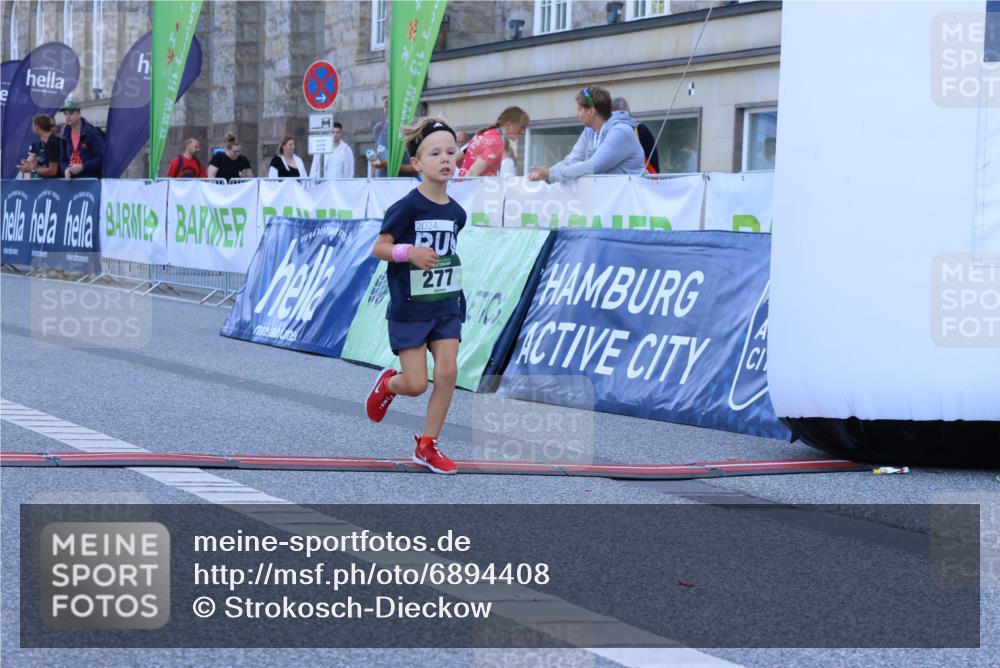 01.09.2024 - BARMER Alsterlauf Strokosch-Dieckow http://msf.ph/oto/6894408 01.09.2024 10:55:30 Ziel 277, 8272 meine-sportfotos.de