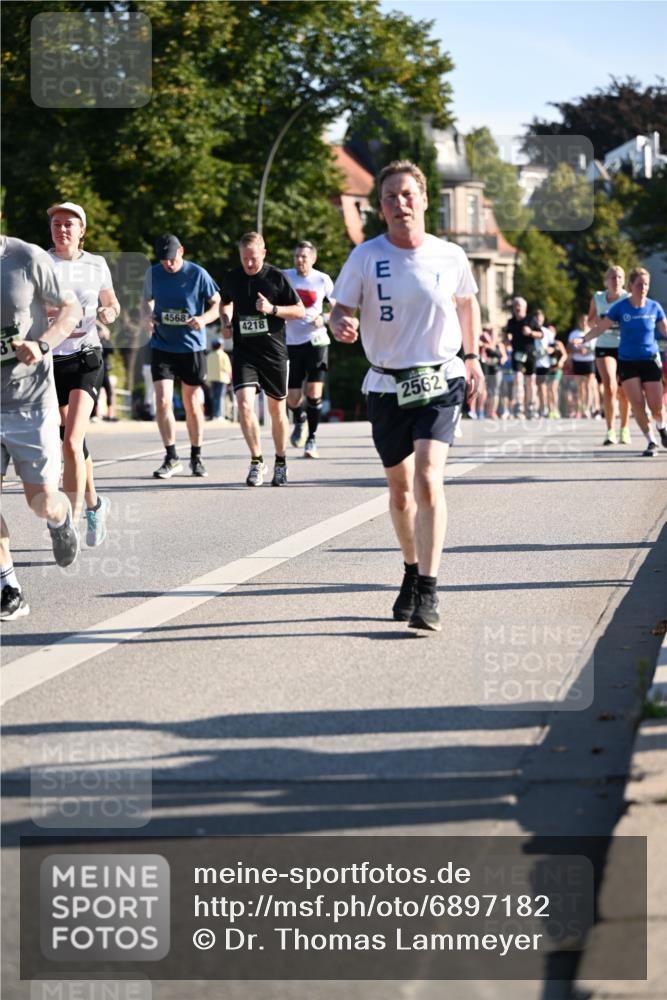 01.09.2024 - BARMER Alsterlauf Dr. Thomas Lammeyer http://msf.ph/oto/6897182 01.09.2024 09:35:31 Laufen 4568, 4218, 2562 meine-sportfotos.de