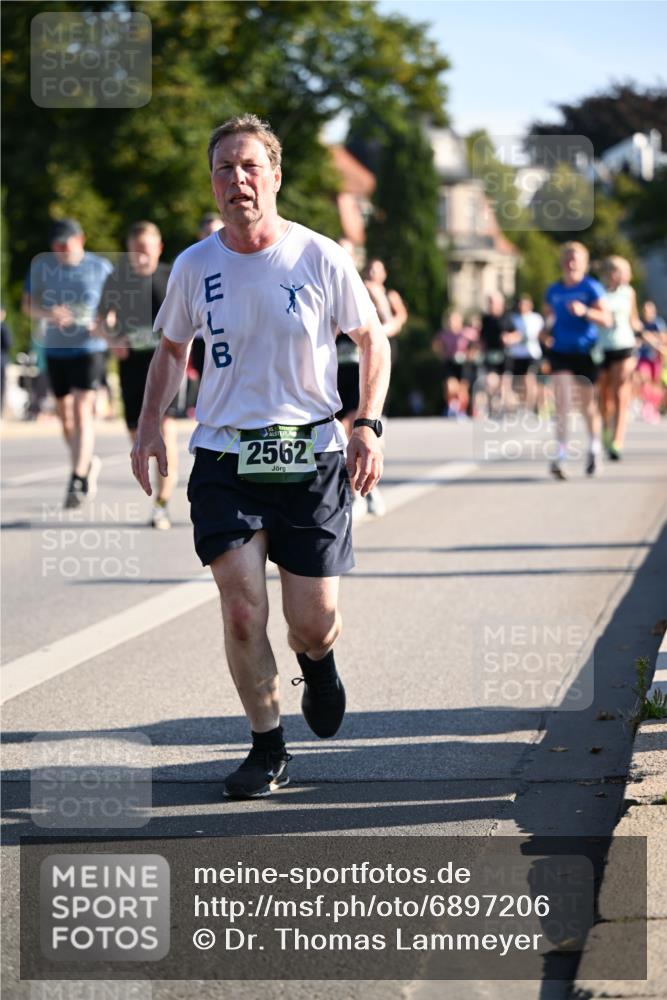 01.09.2024 - BARMER Alsterlauf Dr. Thomas Lammeyer http://msf.ph/oto/6897206 01.09.2024 09:35:32 Laufen 2562 meine-sportfotos.de