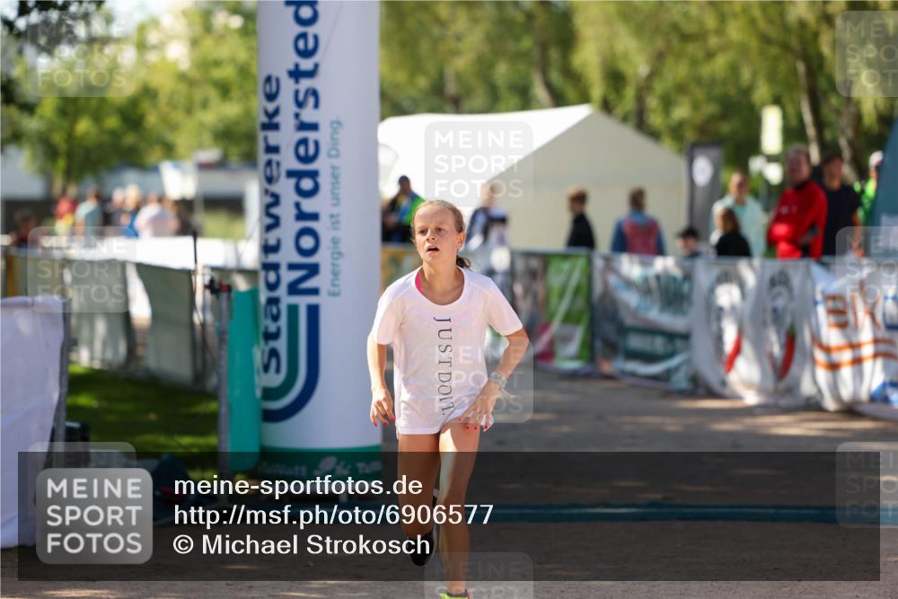 01.09.2024 - 17. Tribühne Triathlon Michael Strokosch http://msf.ph/oto/6906577 01.09.2024 11:12:15 Ziel 173, 196, 216 meine-sportfotos.de