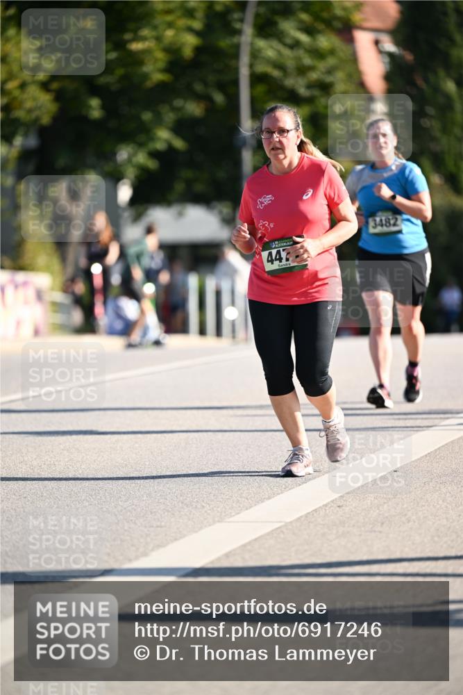01.09.2024 - BARMER Alsterlauf Dr. Thomas Lammeyer http://msf.ph/oto/6917246 01.09.2024 09:49:39 Laufen 442, 3482 meine-sportfotos.de
