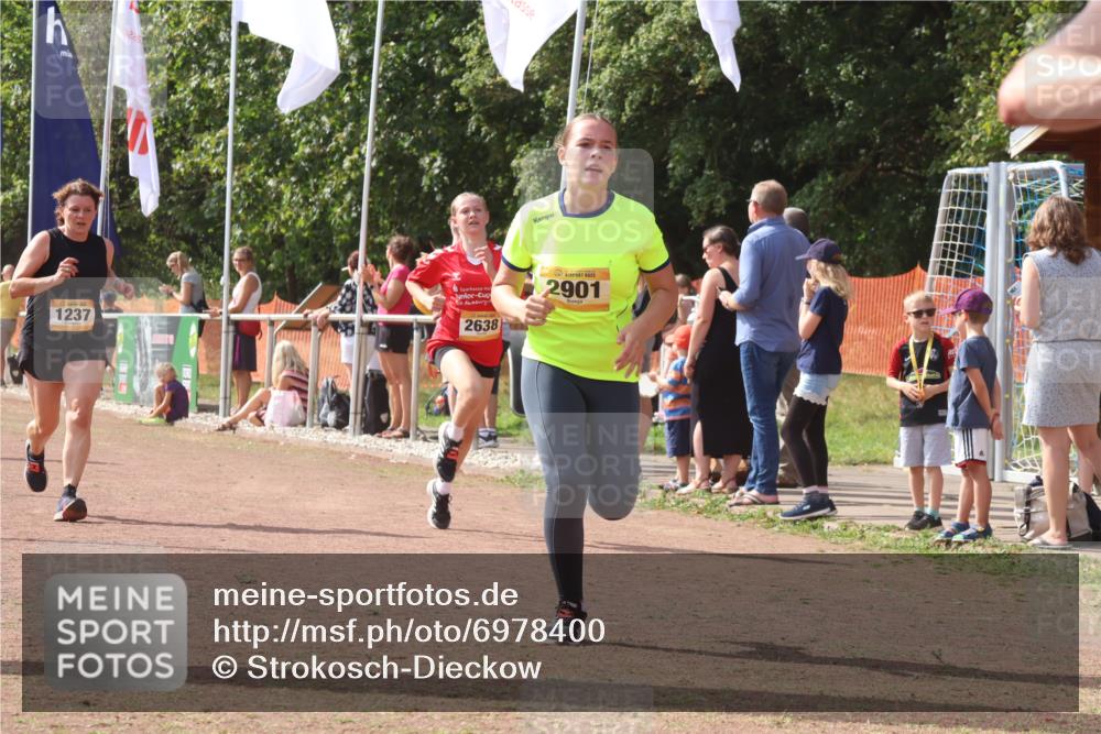 08.09.2024 - Airport Race Strokosch-Dieckow http://msf.ph/oto/6978400 08.09.2024 12:10:56 Ziel 837, 1237, 2584, 2619, 2638, 2690, 2893, 2901 meine-sportfotos.de