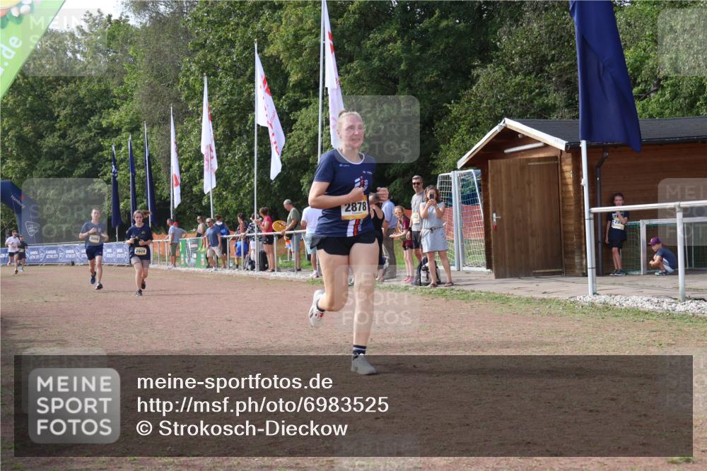 08.09.2024 - Airport Race Strokosch-Dieckow http://msf.ph/oto/6983525 08.09.2024 12:20:49 Ziel 478, 1174, 1203, 2594, 2828, 2878, 3056 meine-sportfotos.de