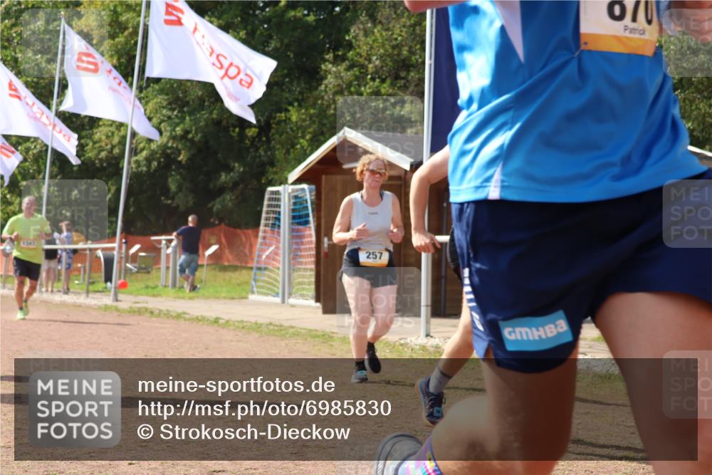 08.09.2024 - Airport Race Strokosch-Dieckow http://msf.ph/oto/6985830 08.09.2024 12:55:26 Ziel 69, 119, 256, 257, 870, 1106, 1377 meine-sportfotos.de