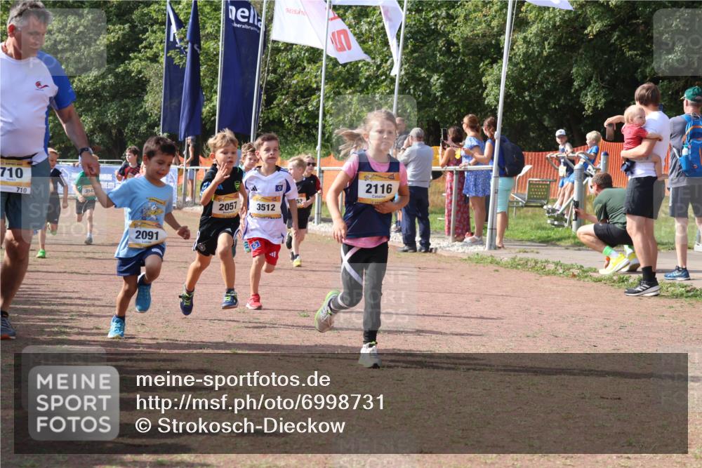 08.09.2024 - Airport Race Strokosch-Dieckow http://msf.ph/oto/6998731 08.09.2024 11:12:57 Ziel  meine-sportfotos.de