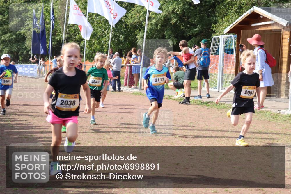 08.09.2024 - Airport Race Strokosch-Dieckow http://msf.ph/oto/6998891 08.09.2024 11:13:01 Ziel  meine-sportfotos.de