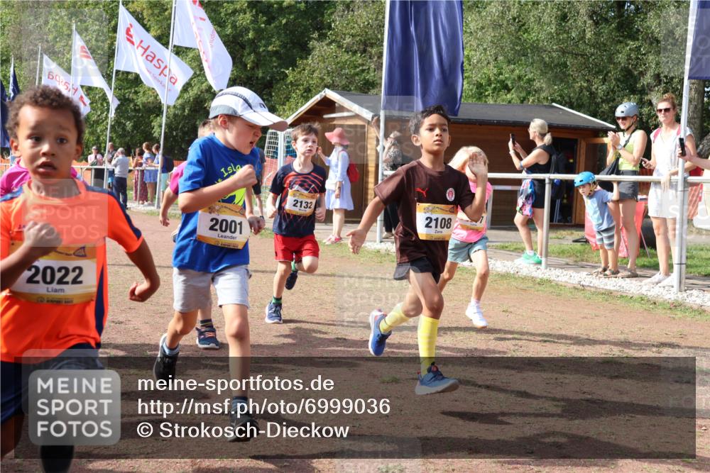 08.09.2024 - Airport Race Strokosch-Dieckow http://msf.ph/oto/6999036 08.09.2024 11:13:04 Ziel  meine-sportfotos.de