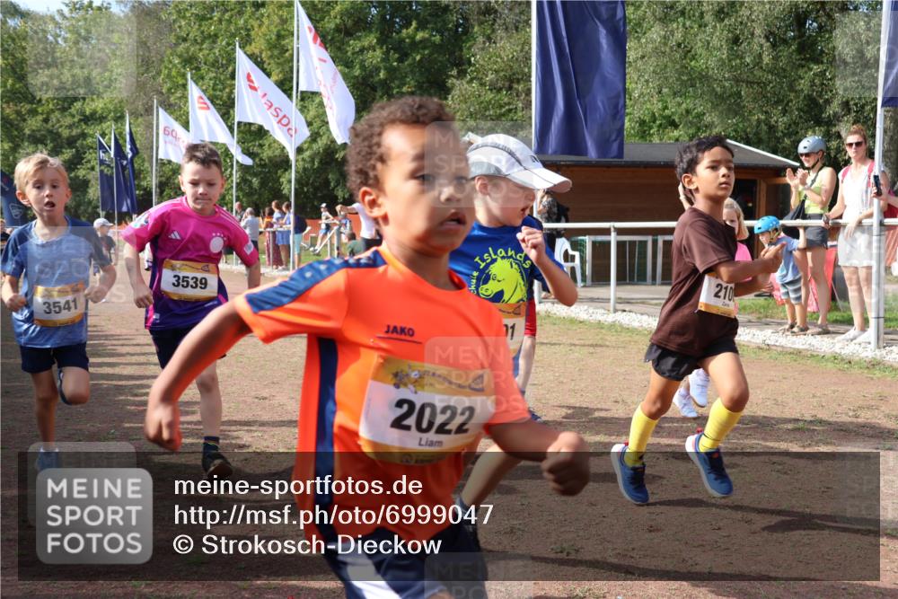 08.09.2024 - Airport Race Strokosch-Dieckow http://msf.ph/oto/6999047 08.09.2024 11:13:05 Ziel  meine-sportfotos.de