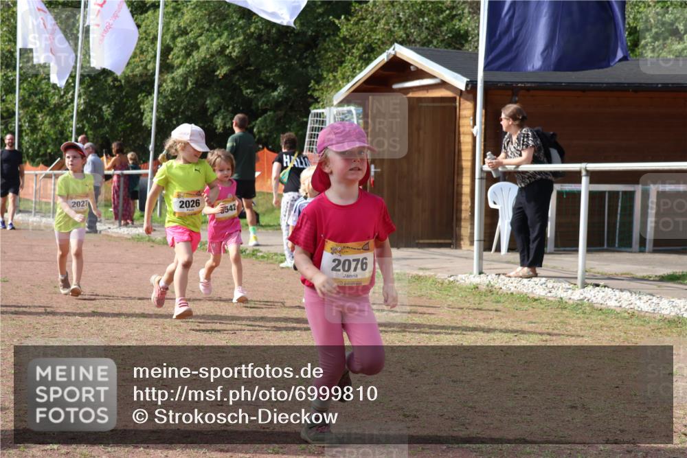 08.09.2024 - Airport Race Strokosch-Dieckow http://msf.ph/oto/6999810 08.09.2024 11:14:35 Ziel  meine-sportfotos.de