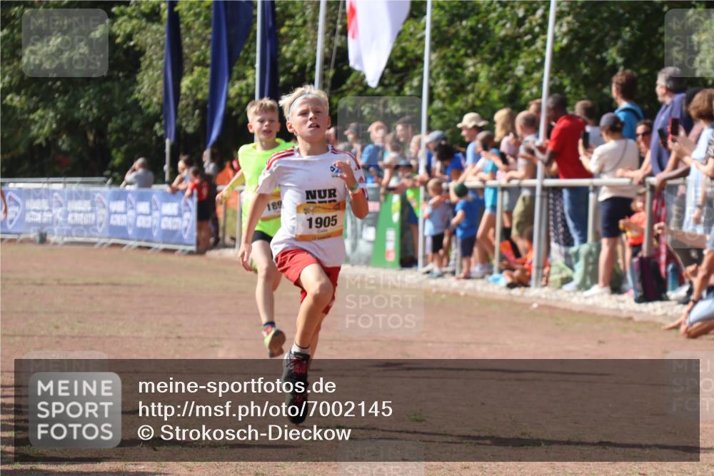 08.09.2024 - Airport Race Strokosch-Dieckow http://msf.ph/oto/7002145 08.09.2024 11:26:32 Ziel 1605, 1697, 1740, 1838, 1896, 1905, 1937, 1938 meine-sportfotos.de