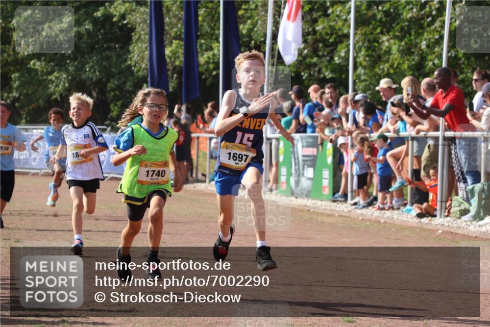 08.09.2024 - Airport Race Strokosch-Dieckow http://msf.ph/oto/7002290 08.09.2024 11:26:36 Ziel 1605, 1697, 1722, 1740, 1838, 1872, 1937, 1938, 1939 meine-sportfotos.de