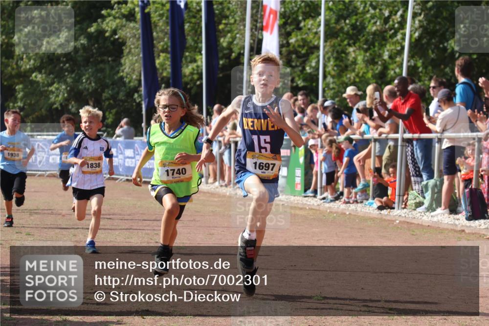 08.09.2024 - Airport Race Strokosch-Dieckow http://msf.ph/oto/7002301 08.09.2024 11:26:37 Ziel 1605, 1697, 1722, 1740, 1838, 1872, 1937, 1938, 1939 meine-sportfotos.de