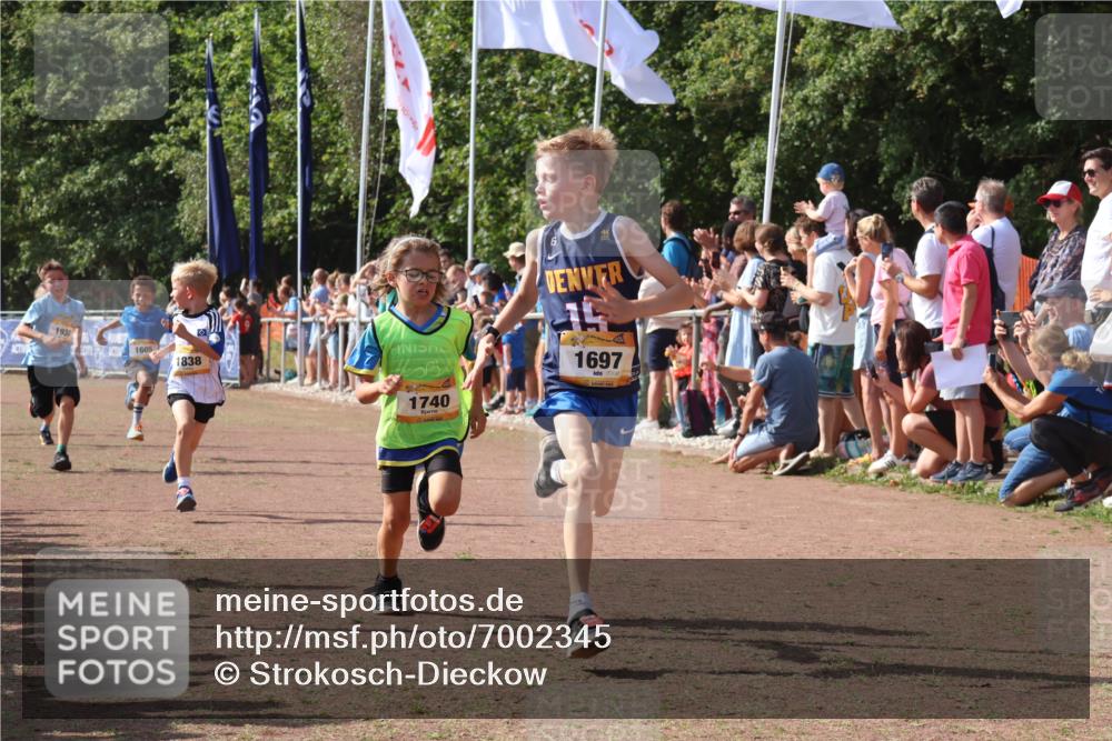 08.09.2024 - Airport Race Strokosch-Dieckow http://msf.ph/oto/7002345 08.09.2024 11:26:38 Ziel 1605, 1697, 1722, 1740, 1838, 1872, 1921, 1937, 1938, 1939 meine-sportfotos.de