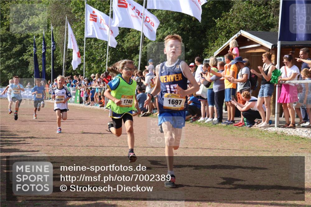 08.09.2024 - Airport Race Strokosch-Dieckow http://msf.ph/oto/7002389 08.09.2024 11:26:38 Ziel 1605, 1697, 1722, 1740, 1838, 1872, 1921, 1937, 1938, 1939 meine-sportfotos.de