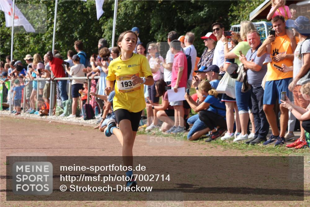 08.09.2024 - Airport Race Strokosch-Dieckow http://msf.ph/oto/7002714 08.09.2024 11:26:46 Ziel 1611, 1624, 1722, 1807, 1857, 1871, 1872, 1919, 1921, 1939, 3436 meine-sportfotos.de