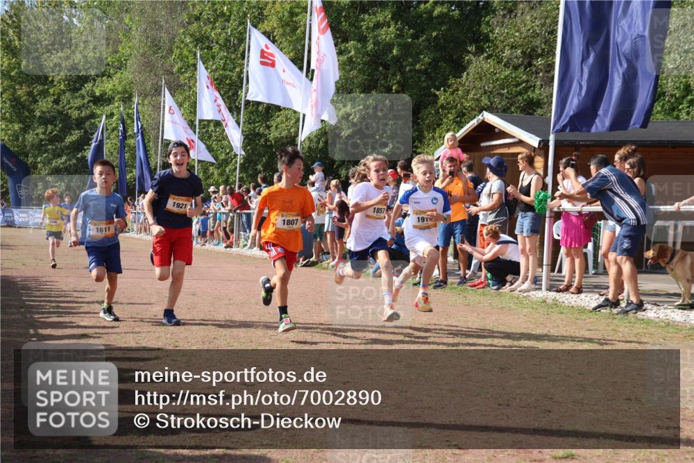 08.09.2024 - Airport Race Strokosch-Dieckow http://msf.ph/oto/7002890 08.09.2024 11:26:50 Ziel 1611, 1624, 1807, 1857, 1871, 1889, 1919, 1921, 3436, 3440 meine-sportfotos.de