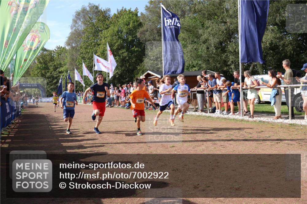 08.09.2024 - Airport Race Strokosch-Dieckow http://msf.ph/oto/7002922 08.09.2024 11:26:50 Ziel 1611, 1624, 1807, 1857, 1871, 1889, 1919, 1921, 3436, 3440 meine-sportfotos.de