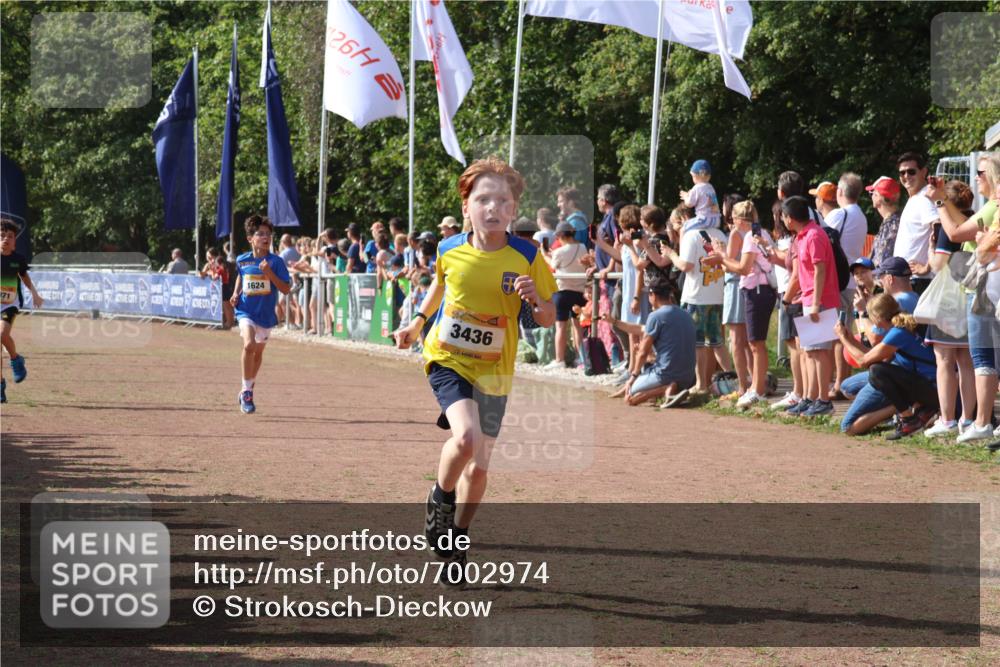 08.09.2024 - Airport Race Strokosch-Dieckow http://msf.ph/oto/7002974 08.09.2024 11:26:53 Ziel 1624, 1871, 1874, 1889, 3436, 3440, 3444 meine-sportfotos.de