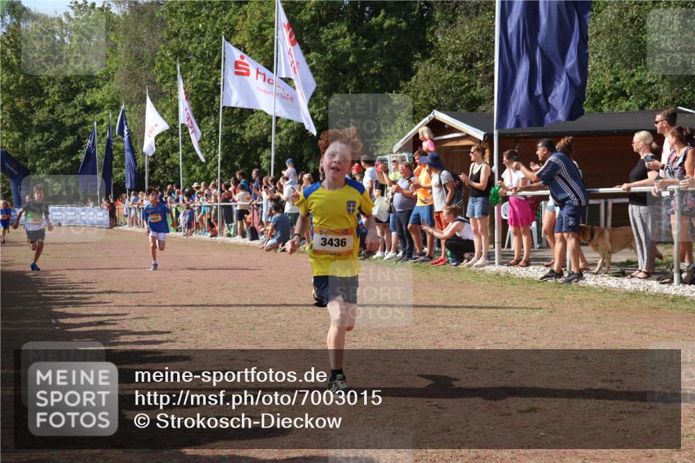 08.09.2024 - Airport Race Strokosch-Dieckow http://msf.ph/oto/7003015 08.09.2024 11:26:54 Ziel 1624, 1747, 1871, 1874, 1889, 3436, 3440, 3444, 3451 meine-sportfotos.de