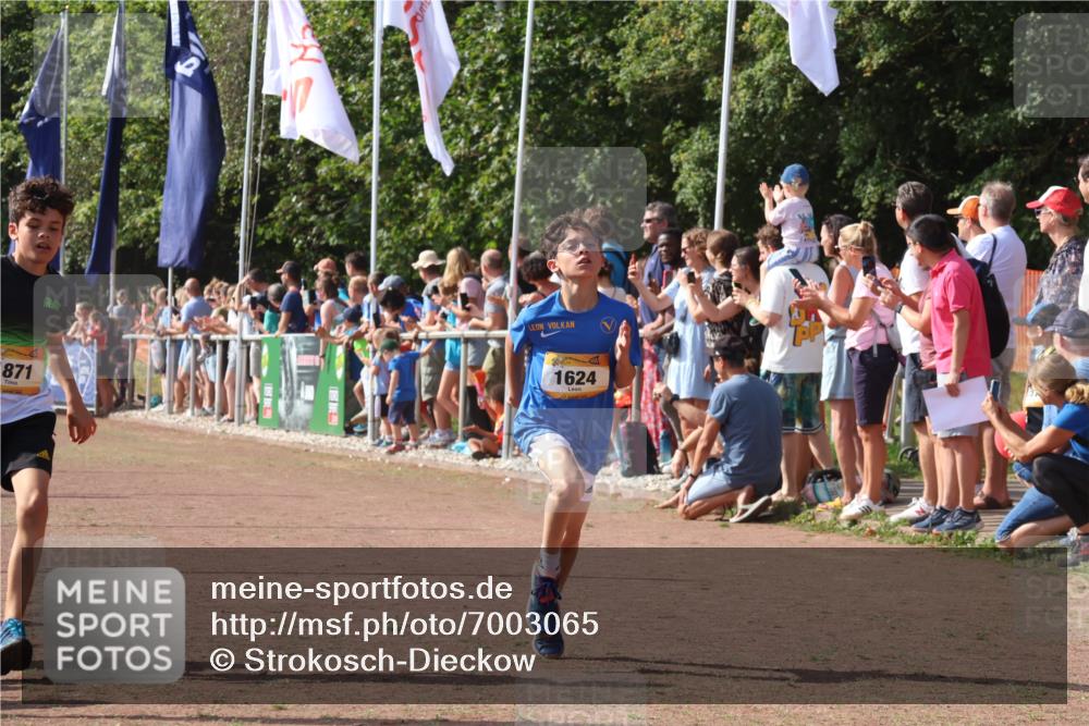 08.09.2024 - Airport Race Strokosch-Dieckow http://msf.ph/oto/7003065 08.09.2024 11:26:55 Ziel 1624, 1747, 1871, 1874, 1889, 3436, 3440, 3444, 3451 meine-sportfotos.de