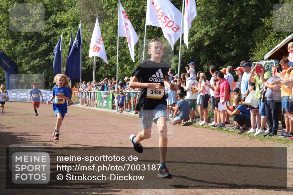 08.09.2024 - Airport Race Strokosch-Dieckow http://msf.ph/oto/7003187 08.09.2024 11:26:58 Ziel 1727, 1745, 1747, 1751, 1874, 1889, 3440, 3444, 3451 meine-sportfotos.de