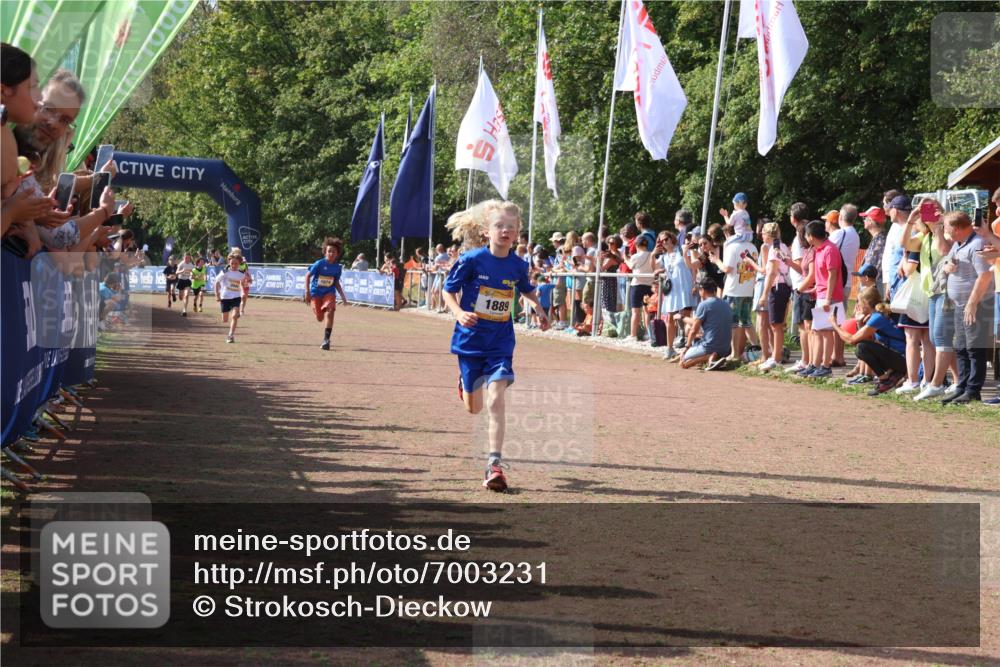 08.09.2024 - Airport Race Strokosch-Dieckow http://msf.ph/oto/7003231 08.09.2024 11:26:59 Ziel 1727, 1745, 1747, 1751, 1874, 1889, 3440, 3444, 3451 meine-sportfotos.de