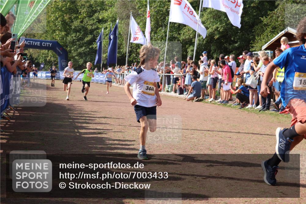 08.09.2024 - Airport Race Strokosch-Dieckow http://msf.ph/oto/7003433 08.09.2024 11:27:04 Ziel 1727, 1745, 1747, 1751, 1867, 1874, 3444, 3451 meine-sportfotos.de