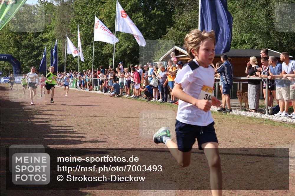 08.09.2024 - Airport Race Strokosch-Dieckow http://msf.ph/oto/7003493 08.09.2024 11:27:04 Ziel 1727, 1745, 1747, 1751, 1867, 1874, 3444, 3451 meine-sportfotos.de