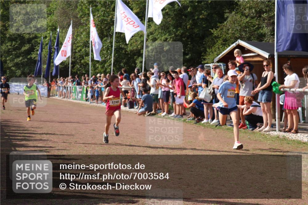 08.09.2024 - Airport Race Strokosch-Dieckow http://msf.ph/oto/7003584 08.09.2024 11:27:07 Ziel 1649, 1707, 1727, 1745, 1751, 1867, 1893, 1898 meine-sportfotos.de
