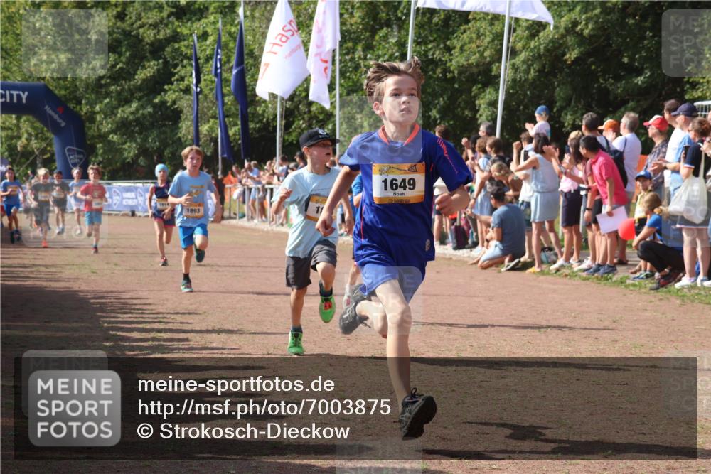 08.09.2024 - Airport Race Strokosch-Dieckow http://msf.ph/oto/7003875 08.09.2024 11:27:15 Ziel 1649, 1650, 1702, 1703, 1707, 1717, 1748, 1848, 1862, 1893, 1898, 1914, 1934 meine-sportfotos.de