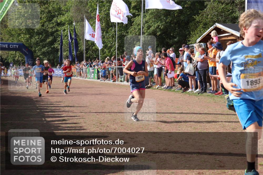 08.09.2024 - Airport Race Strokosch-Dieckow http://msf.ph/oto/7004027 08.09.2024 11:27:19 Ziel 1650, 1702, 1703, 1717, 1748, 1777, 1848, 1862, 1893, 1899, 1914, 1932, 1934, 3421 meine-sportfotos.de