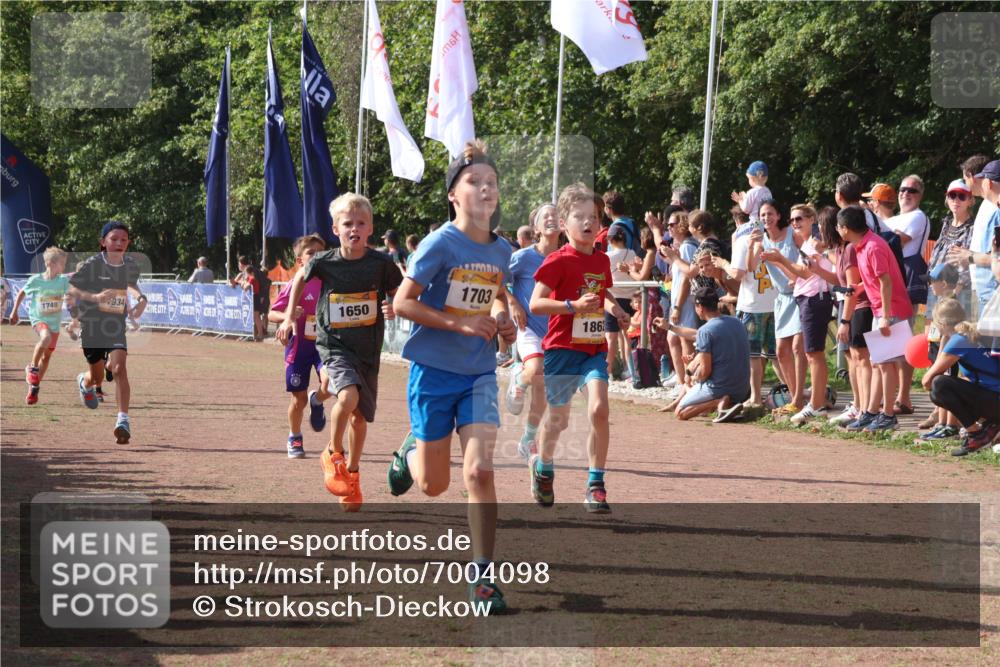 08.09.2024 - Airport Race Strokosch-Dieckow http://msf.ph/oto/7004098 08.09.2024 11:27:21 Ziel 1615, 1616, 1650, 1702, 1703, 1717, 1748, 1777, 1848, 1862, 1899, 1932, 1934, 3421 meine-sportfotos.de