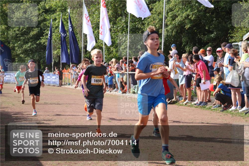 08.09.2024 - Airport Race Strokosch-Dieckow http://msf.ph/oto/7004114 08.09.2024 11:27:21 Ziel 1615, 1616, 1650, 1702, 1703, 1717, 1748, 1777, 1848, 1862, 1899, 1932, 1934, 3421 meine-sportfotos.de