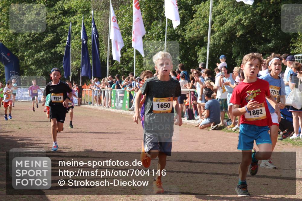 08.09.2024 - Airport Race Strokosch-Dieckow http://msf.ph/oto/7004146 08.09.2024 11:27:22 Ziel 1615, 1616, 1650, 1702, 1703, 1717, 1748, 1777, 1840, 1848, 1862, 1899, 1932, 1934, 3421 meine-sportfotos.de