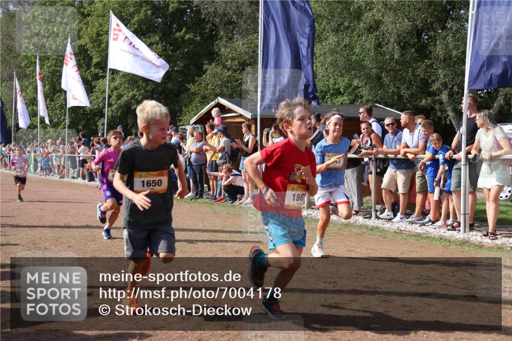 08.09.2024 - Airport Race Strokosch-Dieckow http://msf.ph/oto/7004178 08.09.2024 11:27:23 Ziel 1615, 1616, 1650, 1702, 1703, 1717, 1748, 1777, 1823, 1840, 1848, 1862, 1899, 1932, 1934, 3421, 3425 meine-sportfotos.de